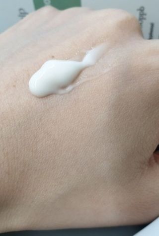 은쮸기님이 올린 리뷰 사진 2