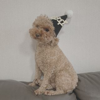 우주님이 올린 리뷰 사진 2