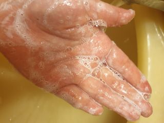 달리프 클로렐라 베러 루트 릴렉싱 샴푸 500ml — 5점을 준 리뷰어가 2021년 6월 올린 사용 사진