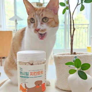 [펫시밀] 원물그대로 영양듬뿍 진공동결건조 북어트릿75g,치킨트릿100g,연어트릿75g 강아지 고양이 간식 — 5점을 준 리뷰어가 2023년 5월 올린 사용 사진