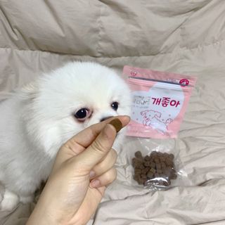 오랑이님이 올린 리뷰 사진 3