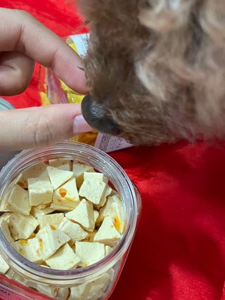 페페로니 진짜 프리바이오틱스 치즈+치즈고구마 180g+180g — 5점을 준 리뷰어가 2021년 7월 올린 사용 사진