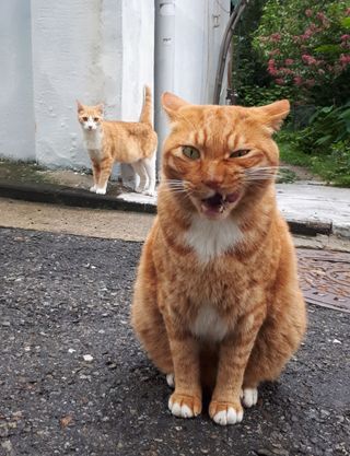 냠냠잉님이 올린 리뷰 사진 4