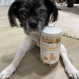 [펫시밀] 원물그대로 강원도 인제군 용대리 무염황태채 60g 강아지 고양이 프리미엄 수제간식 — 5점을 준 리뷰어가 2023년 11월 올린 사용 사진