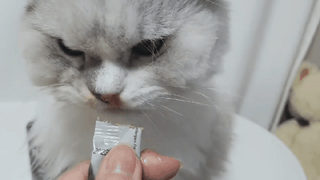복순이님이 올린 리뷰 사진 4