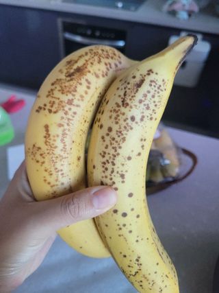 스미후루 코리아 구매평)풍미왕 & 스미후루 바나나 — 5점을 준 리뷰어가 2025년 9월 올린 사용 사진