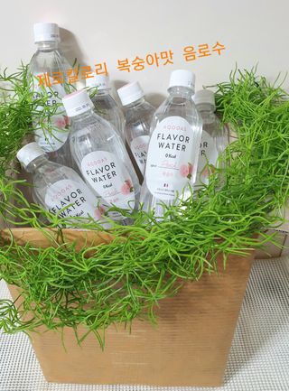 아쿠아스 플레이버워터 ★[아쿠아스] 제로칼로리 플레이버워터 복숭아/청포도 1BOX 20개입 — 5점을 준 리뷰어가 2021년 4월 올린 사용 사진