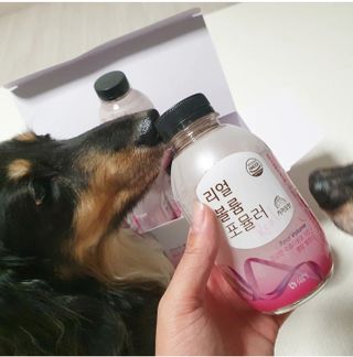일삼마미뽕님이 올린 리뷰 사진 2