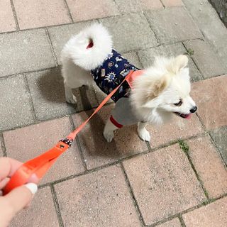 신블리마미님이 올린 리뷰 사진 1