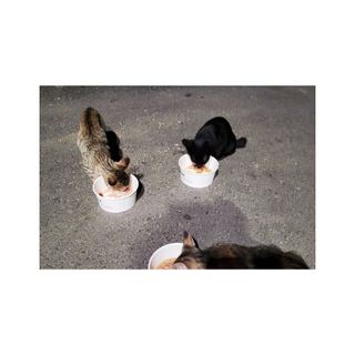 조롱이님이 올린 리뷰 사진 1