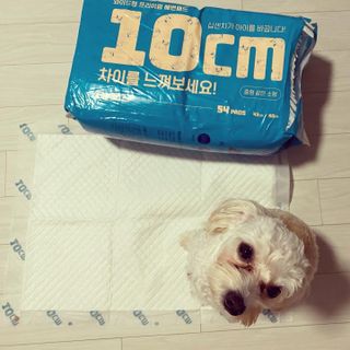 칸쵸님이 올린 리뷰 사진 3