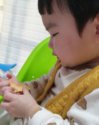아비삭과일칩 5종 /딸기,사과,배,귤,무화과 5종 — 5점을 준 리뷰어가 2021년 3월 올린 사용 사진