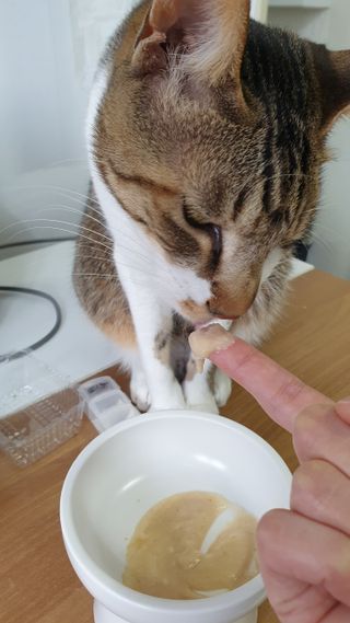 둘둘이님이 올린 리뷰 사진 1