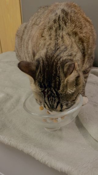클로버님이 올린 리뷰 사진 3