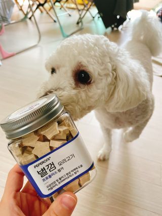 지혜님이 올린 리뷰 사진 1