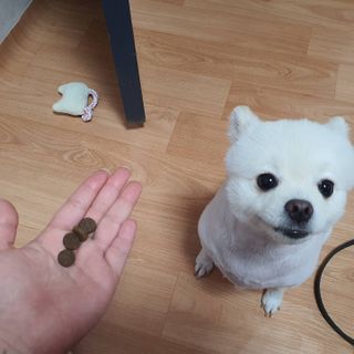 빵슬님이 올린 리뷰 사진 3