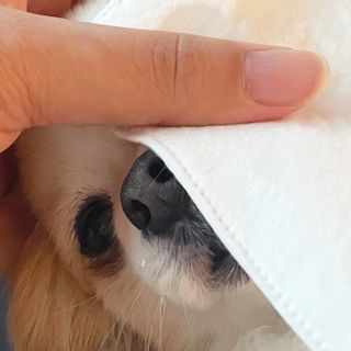 쏭블리님이 올린 리뷰 사진 1
