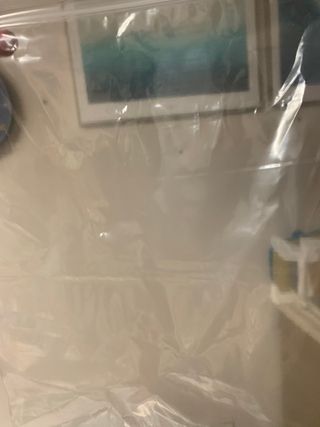노플(NOPL) 노플 친환경 바이오 산화 생분해  항균 일회용 위생 비닐장갑 100매 + 지퍼백 소형, 대형 — 5점을 준 리뷰어가 2021년 10월 올린 사용 사진
