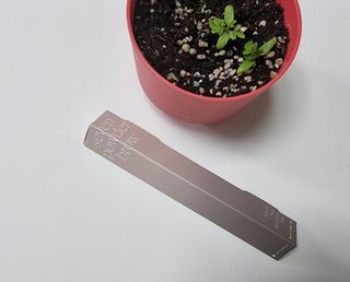 파비올라님이 올린 리뷰 사진 4