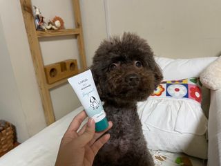 콩지님이 올린 리뷰 사진 2
