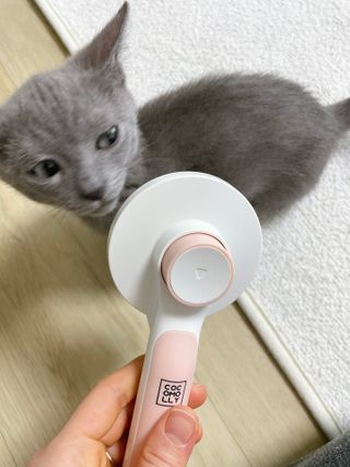 햄미이모님이 올린 리뷰 사진 1