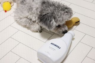 이설님이 올린 리뷰 사진 2