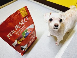 힝구님이 올린 리뷰 사진 1