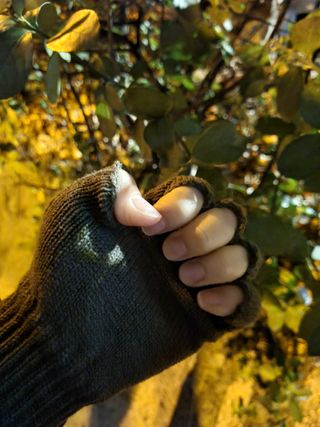 은러님이 올린 리뷰 사진 2