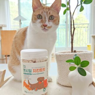 [펫시밀] 원물그대로 영양듬뿍 진공동결건조 북어트릿75g,치킨트릿100g,연어트릿75g 강아지 고양이 간식 — 5점을 준 리뷰어가 2023년 5월 올린 사용 사진