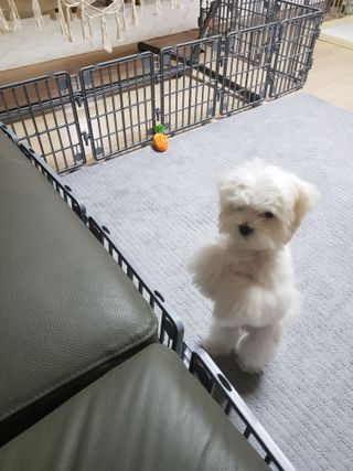 곽현정님이 올린 리뷰 사진 2