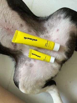 또용님이 올린 리뷰 사진 3