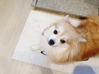 좋아님이 올린 리뷰 사진 2