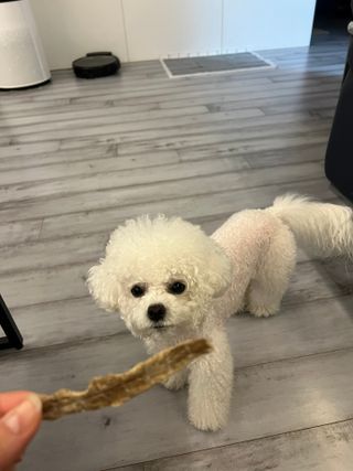 큐티윤님이 올린 리뷰 사진 2