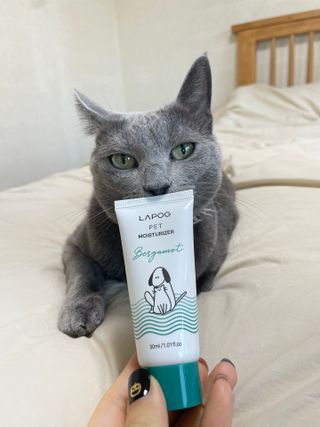 여온님이 올린 리뷰 사진 4