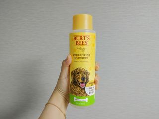 곰둥공주님님이 올린 리뷰 사진 1