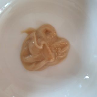 짜먹는 이지견과 짜먹는 이지아몬드, 짜먹는 이지허니피넛, 짜먹는 이지캐슈넛 각 10g X  10포 — 5점을 준 리뷰어가 2021년 1월 올린 사용 사진