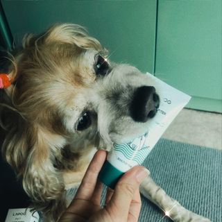 유키코코샤넬님이 올린 리뷰 사진 2