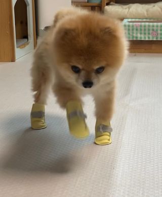 뽀야니님이 올린 리뷰 사진 4