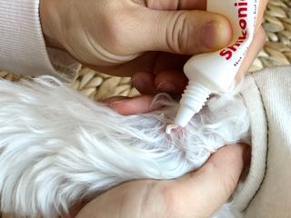 [자유펫] 시코니딘 고양이 강아지 피부 보습 연고 20g — 5점을 준 리뷰어가 2021년 11월 올린 사용 사진