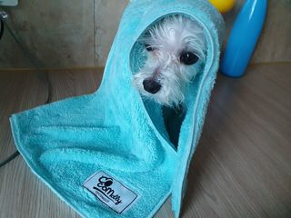 미민님이 올린 리뷰 사진 2