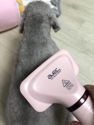 미미미밍님이 올린 리뷰 사진 3