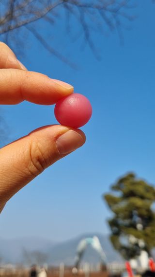 푸름웰니스 라바 쑥쑥구미 36g — 5점을 준 리뷰어가 2022년 2월 올린 사용 사진