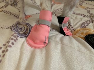 다즐링님이 올린 리뷰 사진 1