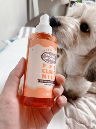 썸헤어 / SUMHAIR [썸헤어] 프로틴 스무디 클리닉 미스트 150ml — 5점을 준 리뷰어가 2021년 6월 올린 사용 사진