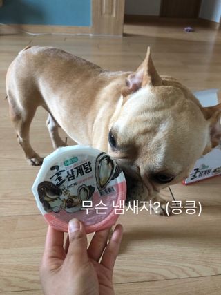 보노엄마님이 올린 리뷰 사진 2