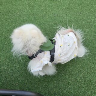 sunny님이 올린 리뷰 사진 2