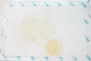 아베크 펫 와이드 프리미엄 중형 애견 강아지 배변 패드 54매 1팩 45g — 5점을 준 리뷰어가 2021년 7월 올린 사용 사진