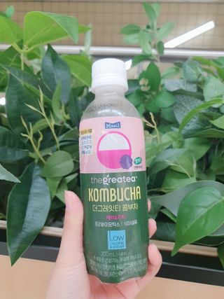 더그레잇티 콤부차 [매일유업] 더그레잇티 44kcal 콤부차 300ml *12개입 (오리지널 6개+베리리치 6개) — 5점을 준 리뷰어가 2023년 8월 올린 사용 사진