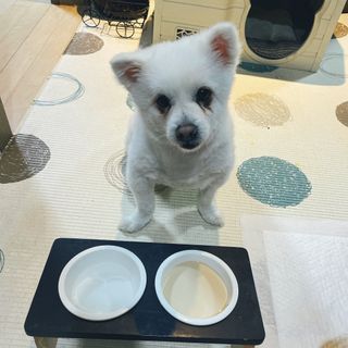 엠마J님이 올린 리뷰 사진 3