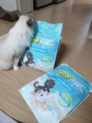 행운의집 실키식스 9kg 크린 언씬티드 프리미엄 고양이모래 — 5점을 준 리뷰어가 2021년 3월 올린 사용 사진